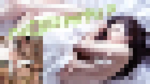 即抜きハメ撮りコレクション hametori girls