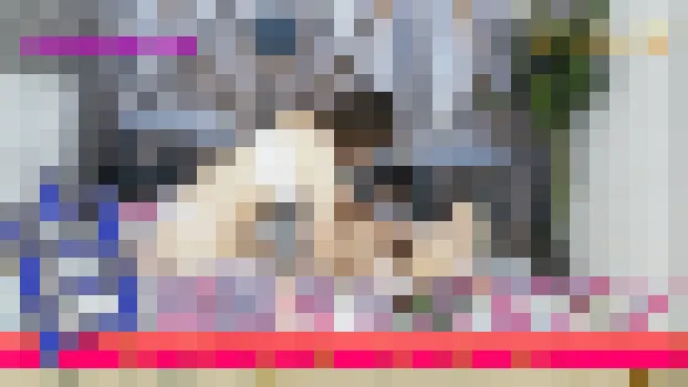 自画撮りレズビアン～かなちゃんとなほこさん～2