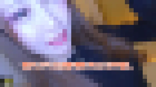 りのすん - でかいチンコが好きなギャルに中出し