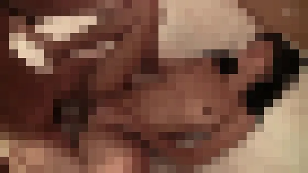 素人 - キミにホレたっ!!タイヨウ笑顔のタイ娘! 2人きりになったら、スイッチの入り方がエゲツないかわい娘ちゃん!! ニッポンジンダイスキ! part4